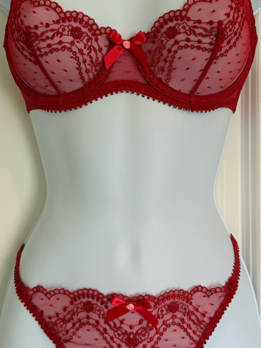 NWT Agent Provocateur Yuma Bra 34A and Thong Size 4 Red